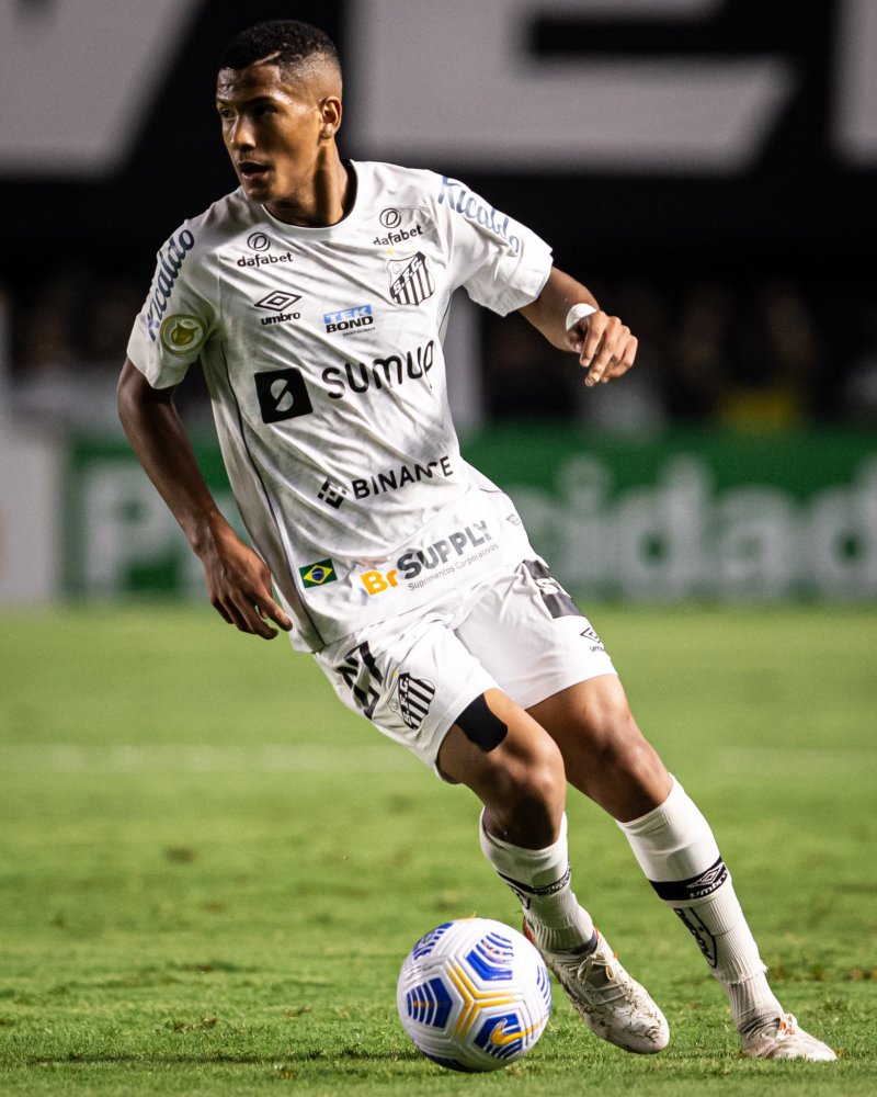 的胜利教科 的胜利教科