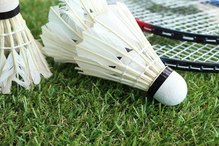 朴宝谦的上 朴宝谦的上