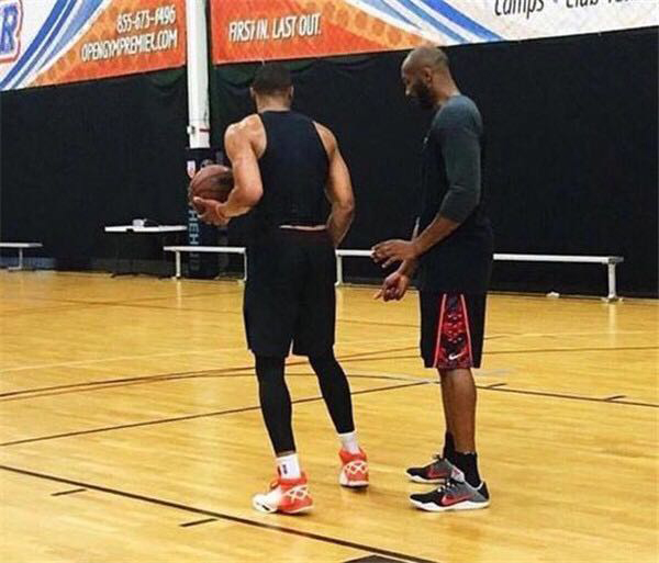 的细分领域 的细分领域